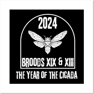 Cicada 2024 Brood XIX, Brood XIII Posters and Art